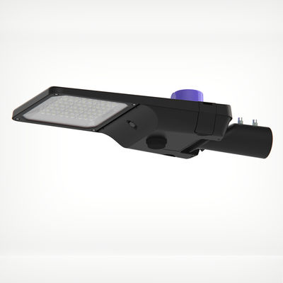60-90W SL-29-60 LED 스트리트 라이트 하우징 클래스 I 45 / 60mm 12-14m DALI