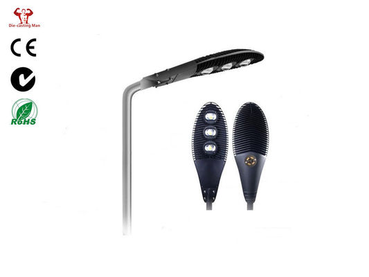 Meanwell LED 운전사를 가진 120 와트를 유숙하는 주조 알루미늄 세륨 IP66 LED 가로등은 죽습니다